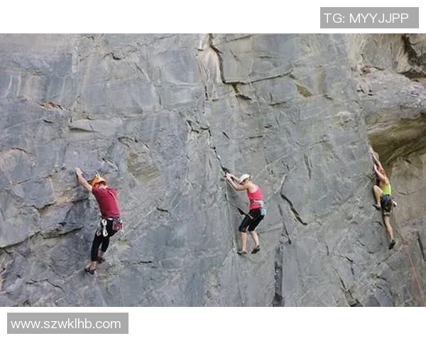 武汉攀岩队实力深度解析及各队员表现对比分析